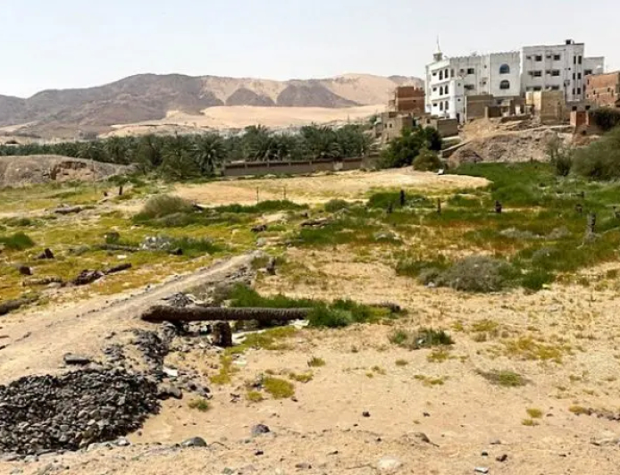 The Battle of Badr: 313 Men, 1,000 Warriors — and a Victory That Rewrote History